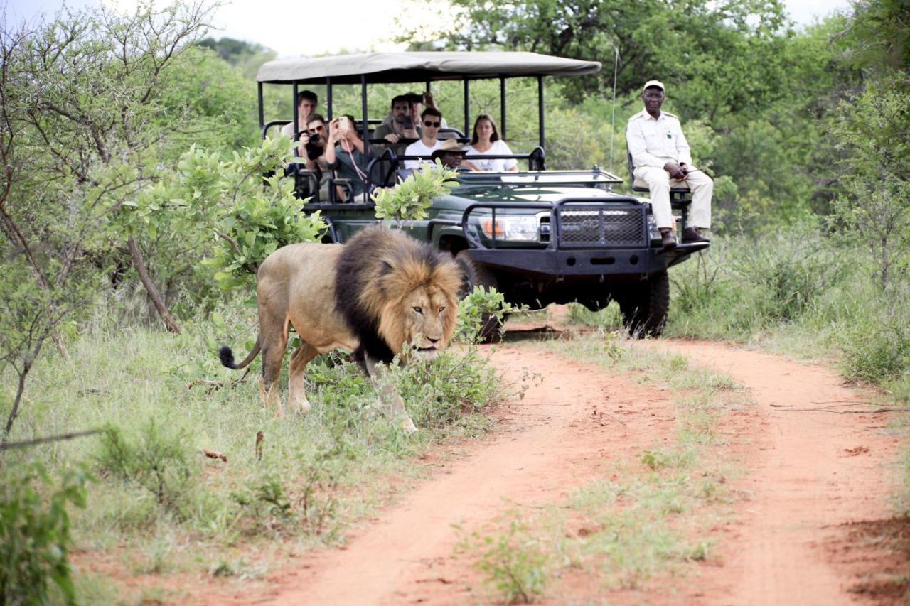 Karongwe Portfolio - Kuname Lodge Karongwe Game Reserve Kültér fotó