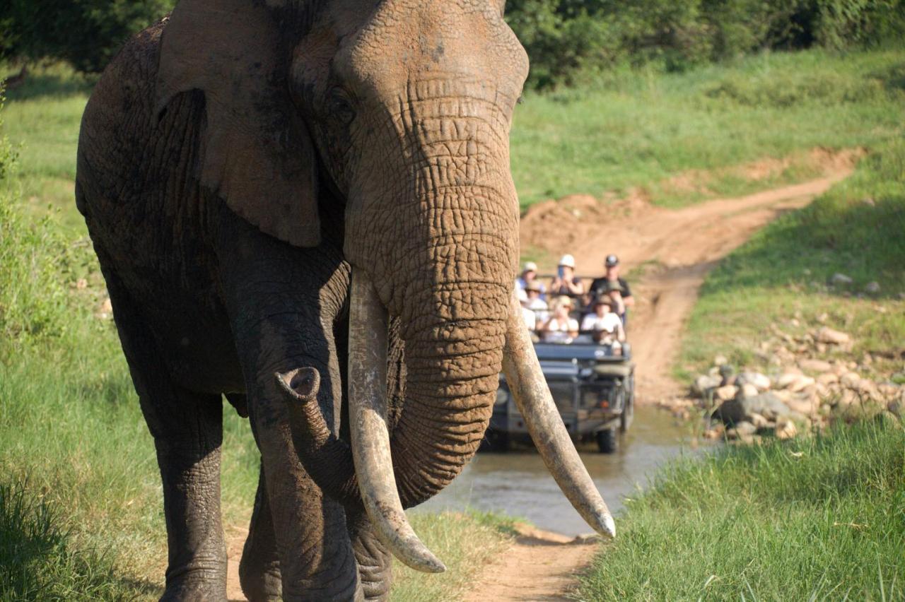 Karongwe Portfolio - Kuname Lodge Karongwe Game Reserve Kültér fotó