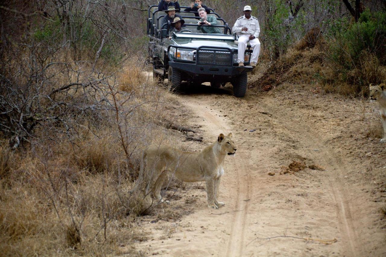 Karongwe Portfolio - Kuname Lodge Karongwe Game Reserve Kültér fotó