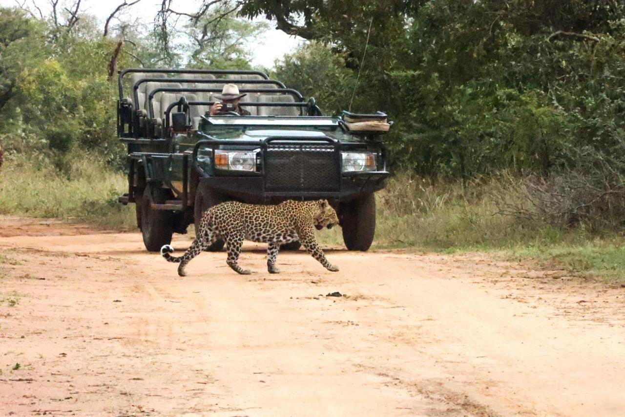 Karongwe Portfolio - Kuname Lodge Karongwe Game Reserve Kültér fotó