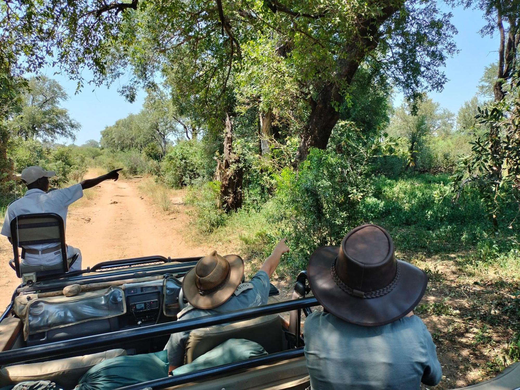 Karongwe Portfolio - Kuname Lodge Karongwe Game Reserve Kültér fotó