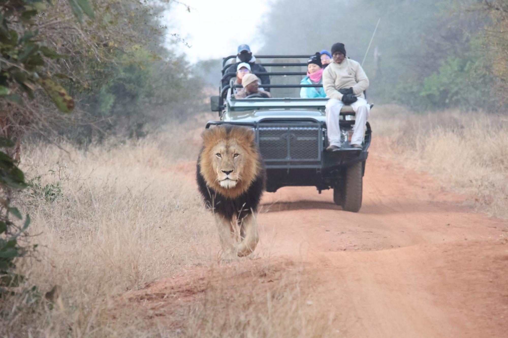 Karongwe Portfolio - Kuname Lodge Karongwe Game Reserve Kültér fotó